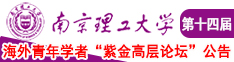 欧美美逼逼南京理工大学第十四届海外青年学者紫金论坛诚邀海内外英才！